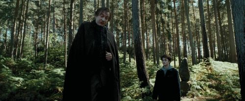 PdA-Potterish_3690.jpg
