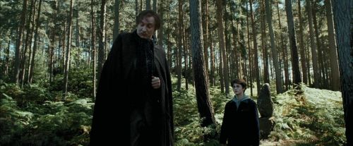 Click to view full size image
==============
PdA-Potterish_3691.jpg PdA-Potterish_3691.jpg