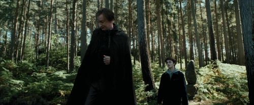 PdA-Potterish_3692.jpg