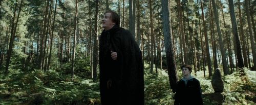PdA-Potterish_3694.jpg