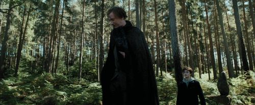 Click to view full size image
==============
PdA-Potterish_3695.jpg PdA-Potterish_3695.jpg