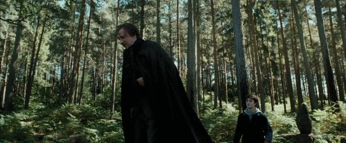 Click to view full size image
==============
PdA-Potterish_3696.jpg PdA-Potterish_3696.jpg