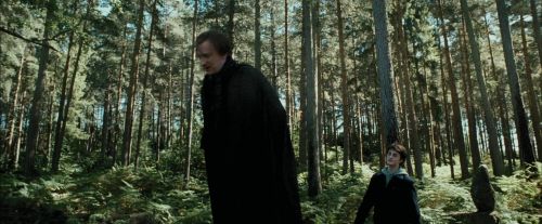 Click to view full size image
==============
PdA-Potterish_3697.jpg PdA-Potterish_3697.jpg