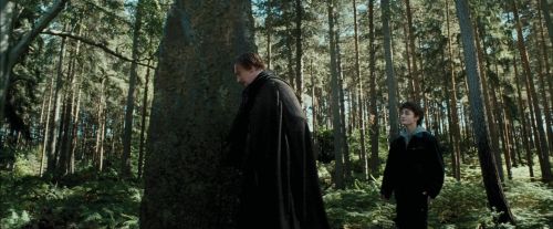 Click to view full size image
==============
PdA-Potterish_3701.jpg PdA-Potterish_3701.jpg