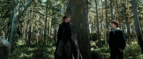 PdA-Potterish_3703.jpg