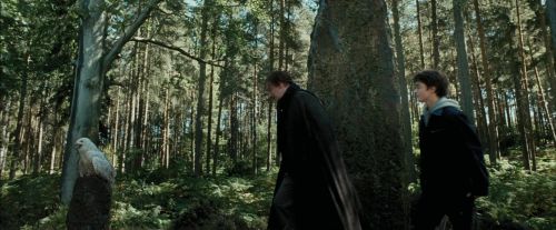 Click to view full size image
==============
PdA-Potterish_3705.jpg PdA-Potterish_3705.jpg