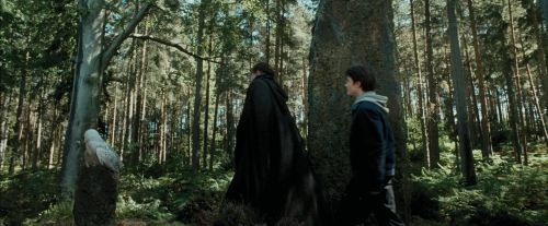 PdA-Potterish_3706.jpg