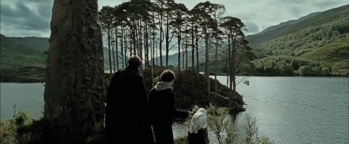 Click to view full size image
==============
PdA-Potterish_3711.jpg PdA-Potterish_3711.jpg