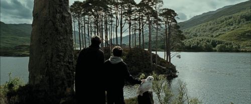 PdA-Potterish_3714.jpg