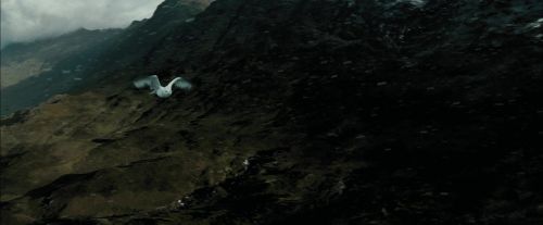 PdA-Potterish_3728.jpg