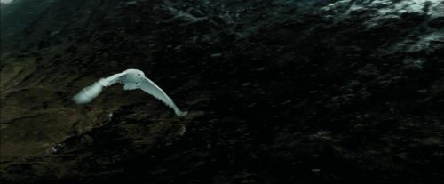 PdA-Potterish_3729.jpg