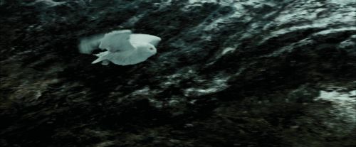 PdA-Potterish_3730.jpg