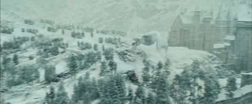 Click to view full size image
==============
PdA-Potterish_3733.jpg PdA-Potterish_3733.jpg