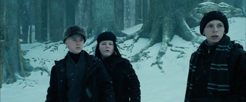 PdA-Potterish_3971.jpg