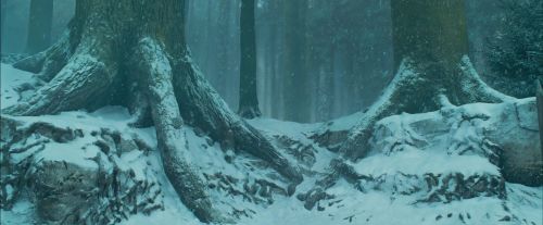Click to view full size image
==============
PdA-Potterish_3973.jpg PdA-Potterish_3973.jpg