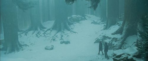 Click to view full size image
==============
PdA-Potterish_4216.jpg PdA-Potterish_4216.jpg