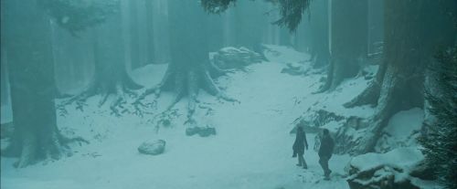 Click to view full size image
==============
PdA-Potterish_4217.jpg PdA-Potterish_4217.jpg