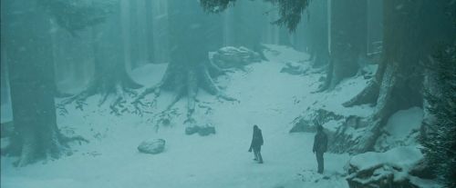 Click to view full size image
==============
PdA-Potterish_4221.jpg PdA-Potterish_4221.jpg