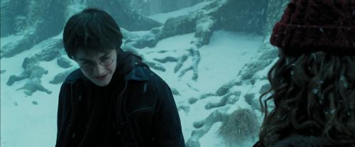 PdA-Potterish_4241.jpg