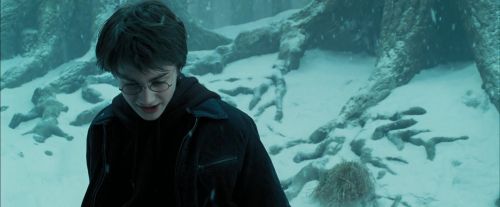 PdA-Potterish_4247.jpg