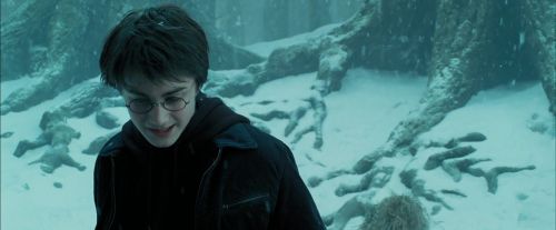 PdA-Potterish_4250.jpg