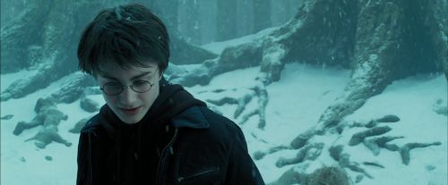 PdA-Potterish_4252.jpg