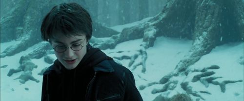 PdA-Potterish_4253.jpg