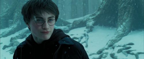 PdA-Potterish_4262.jpg