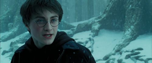PdA-Potterish_4263.jpg