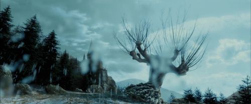 PdA-Potterish_4281.jpg