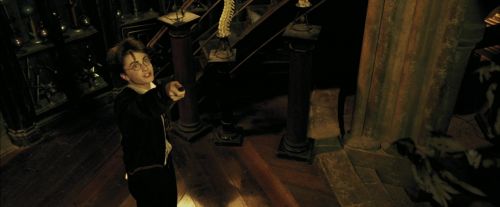 PdA-Potterish_4384.jpg