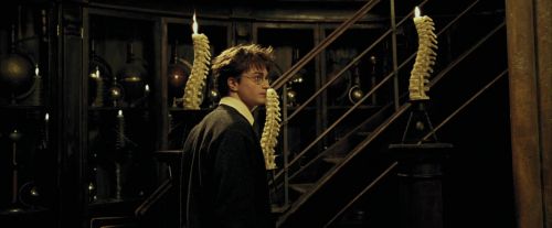 PdA-Potterish_4458.jpg