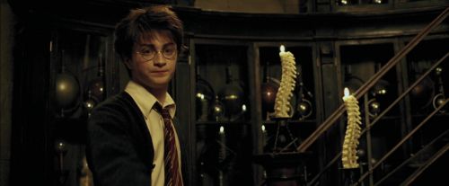 Click to view full size image
==============
PdA-Potterish_4467.jpg PdA-Potterish_4467.jpg