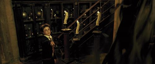 PdA-Potterish_4475.jpg