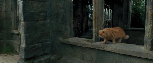 PdA-Potterish_4594.jpg