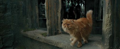 PdA-Potterish_4597.jpg