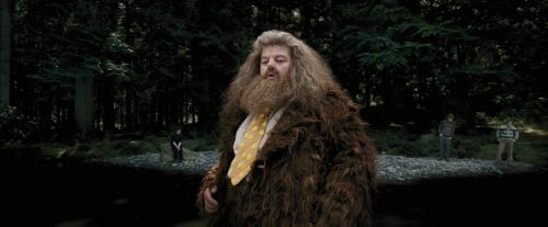 PdA-Potterish_4601.jpg