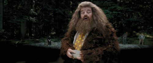 PdA-Potterish_4603.jpg