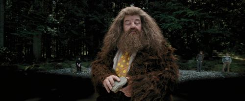 Click to view full size image
==============
PdA-Potterish_4605.jpg PdA-Potterish_4605.jpg