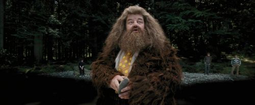 PdA-Potterish_4606.jpg