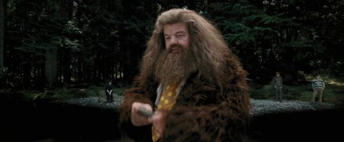 Click to view full size image
==============
PdA-Potterish_4609.jpg PdA-Potterish_4609.jpg