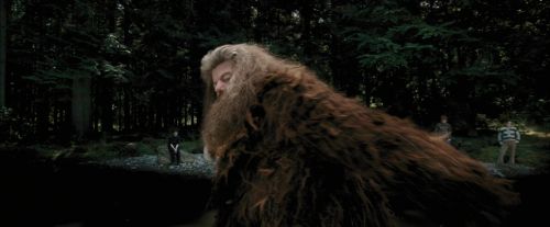 PdA-Potterish_4610.jpg