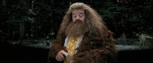 Click to view full size image
==============
PdA-Potterish_4620.jpg PdA-Potterish_4620.jpg