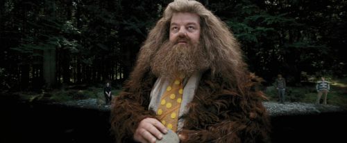 Click to view full size image
==============
PdA-Potterish_4621.jpg PdA-Potterish_4621.jpg