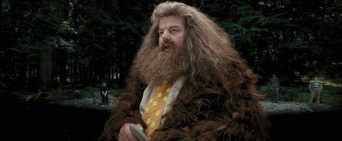 Click to view full size image
==============
PdA-Potterish_4623.jpg PdA-Potterish_4623.jpg