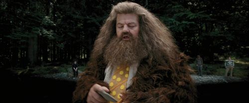 Click to view full size image
==============
PdA-Potterish_4625.jpg PdA-Potterish_4625.jpg