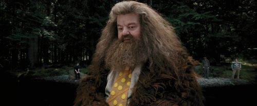PdA-Potterish_4627.jpg