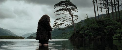 Click to view full size image
==============
PdA-Potterish_4635.jpg PdA-Potterish_4635.jpg