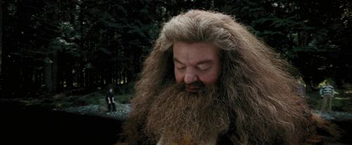 PdA-Potterish_4639.jpg
