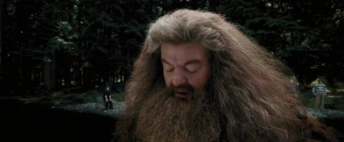 PdA-Potterish_4640.jpg